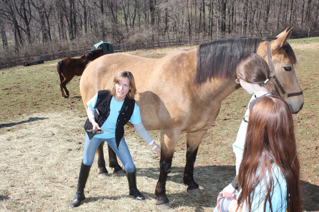 laurie teaching