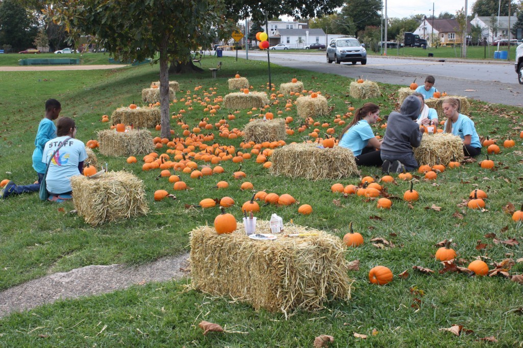 pumpkin patch