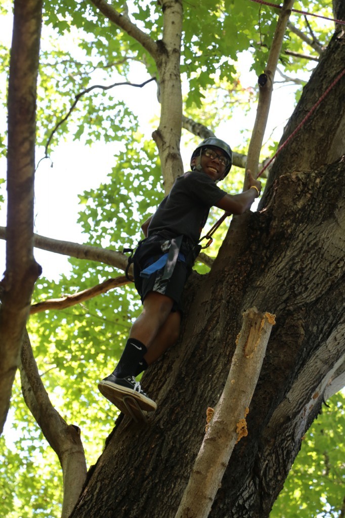 Josh in the tree