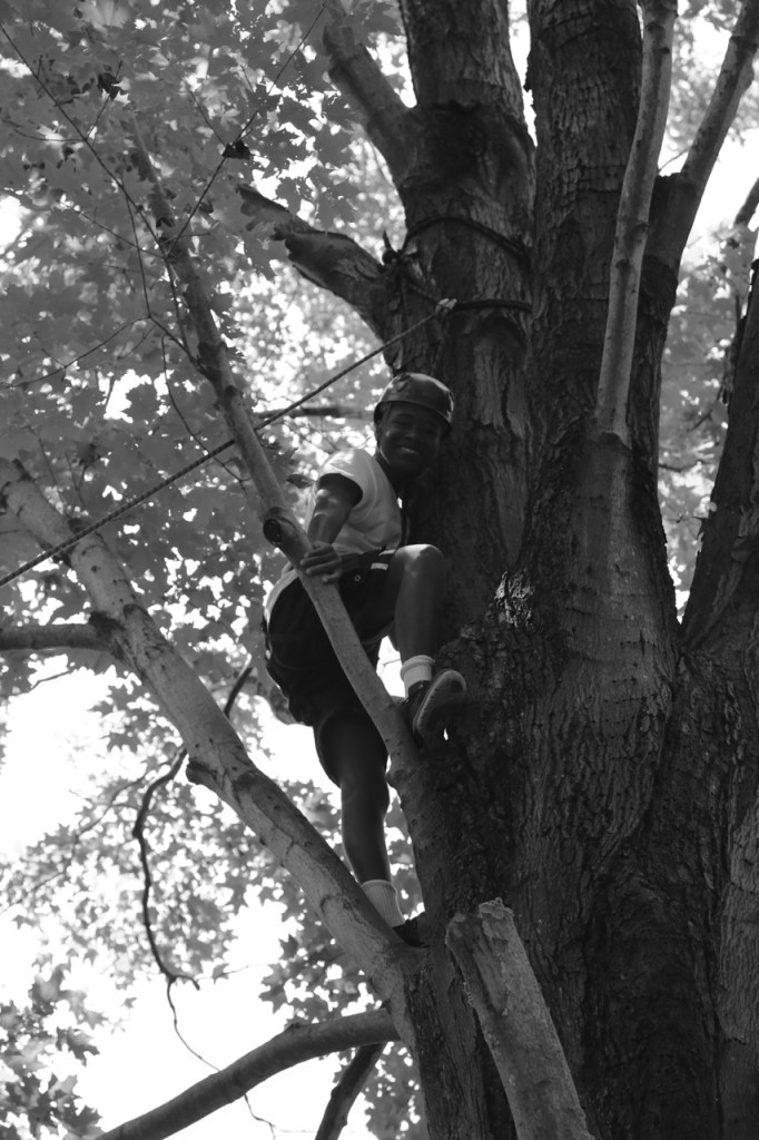 bw tree climb